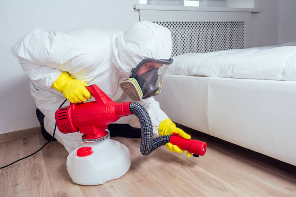 Professional Pest Control in Itasca, IL